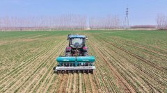 <b>农业农村厅副厅长周团</b>